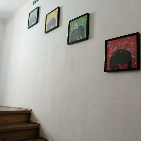 Locals & Хостел *