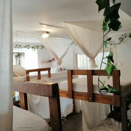 Locals & Хостел